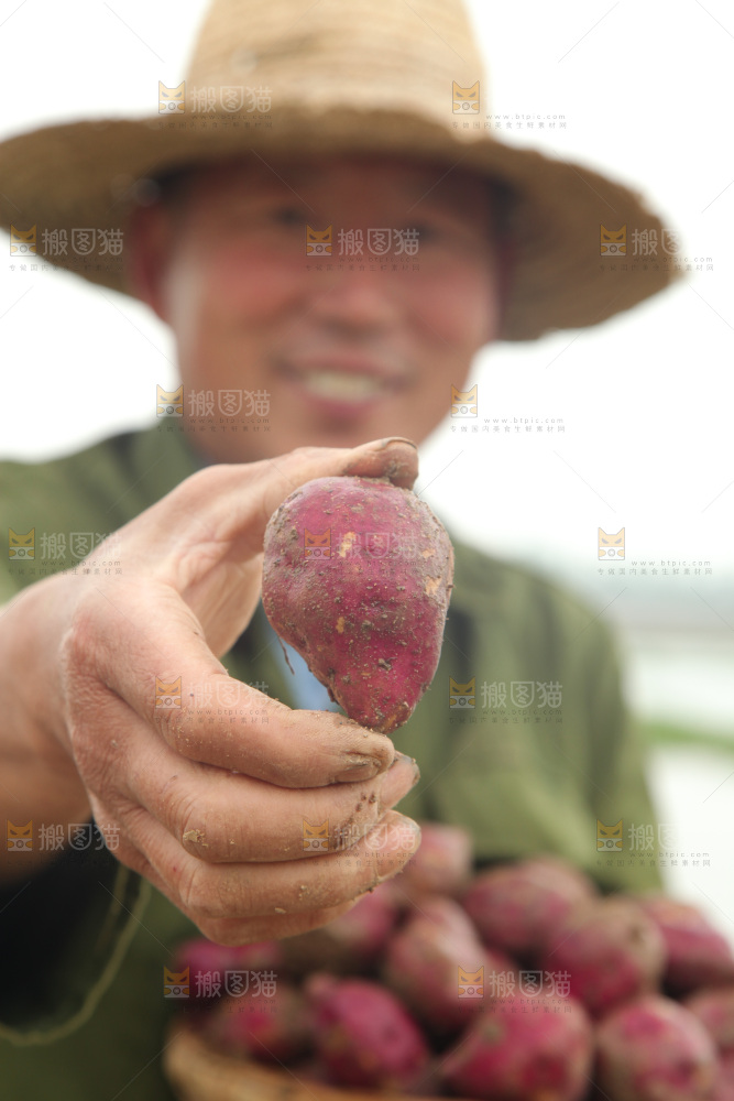 手里拿着鸡蛋小香薯