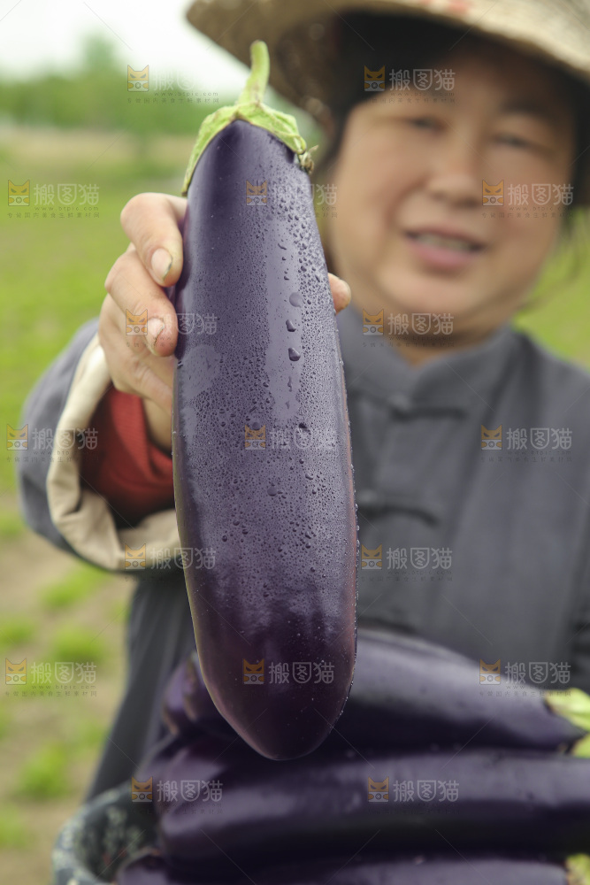 手里拿着紫皮茄子