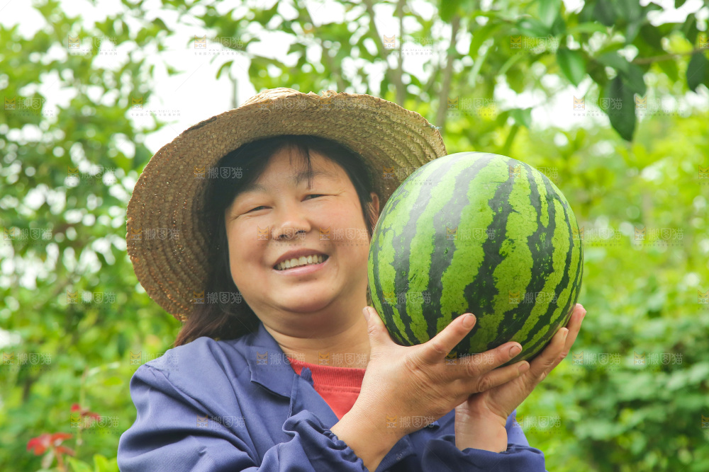 手里抱着西瓜