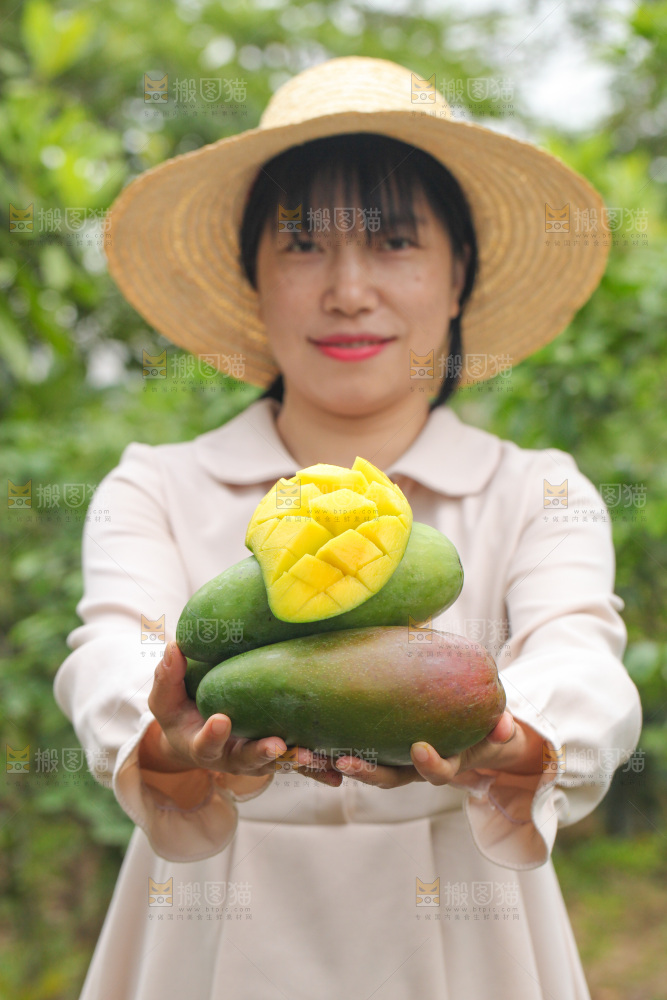 手里捧着金煌芒
