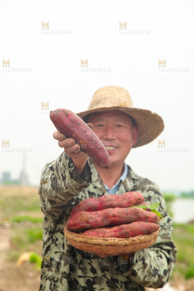 手里拿着板栗红薯
