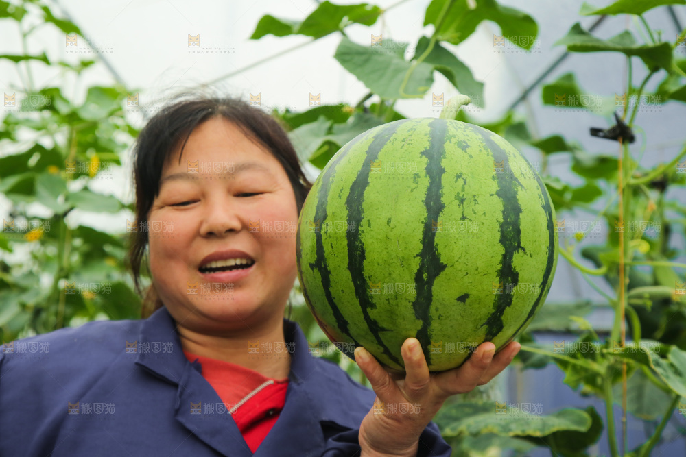 手里拿着个西瓜
