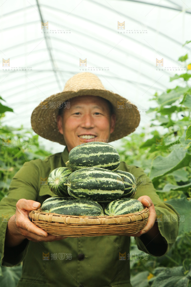 手里端着一篮博洋9号