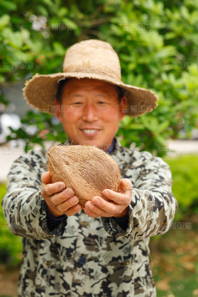 果农手里拿着老椰子