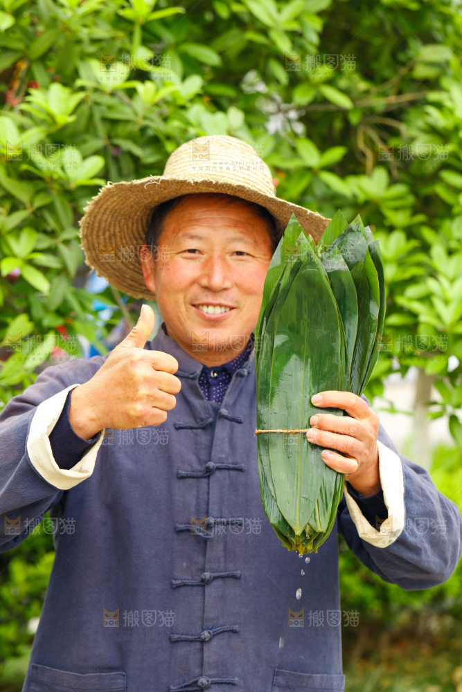 手拿着新鲜粽叶