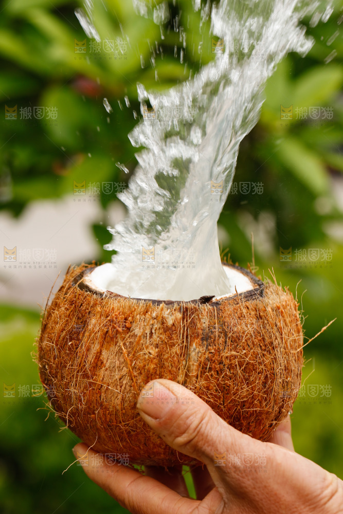 水花四溅的椰子汁