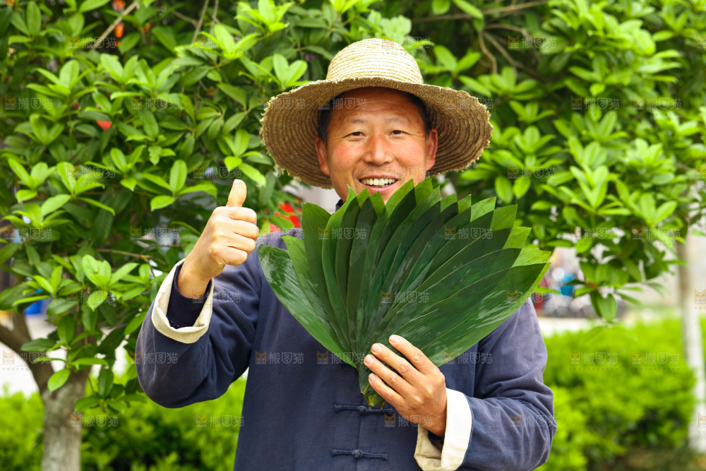 手里拿着粽叶