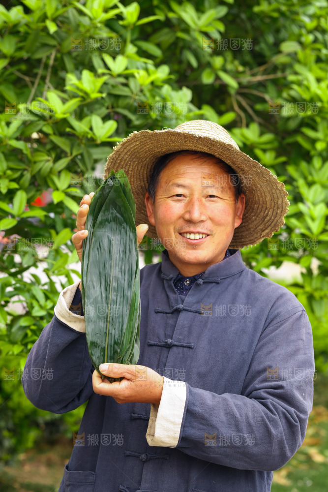 手里拿着粽叶