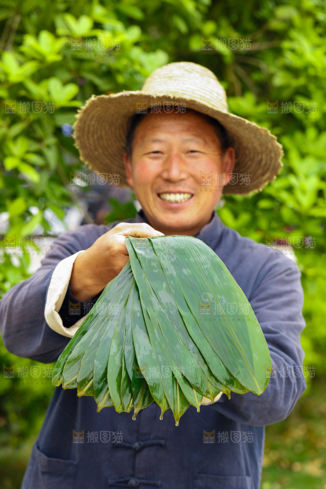 手里拿着粽叶