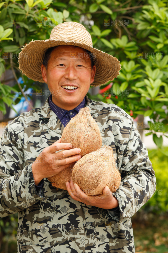 手里抱着牛奶老椰子