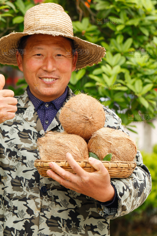 手里端着一篮海南老椰子