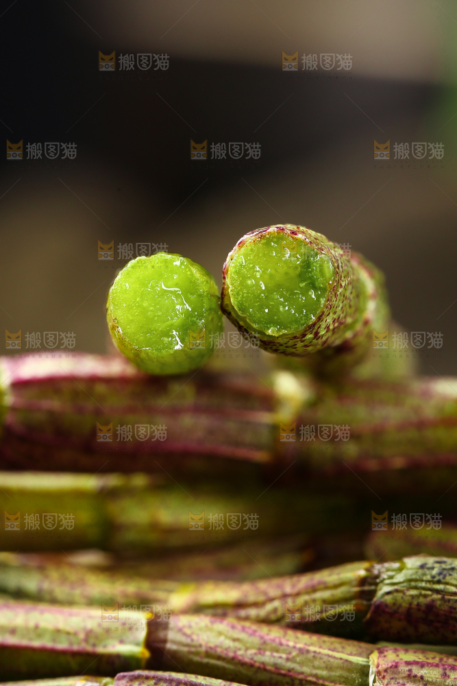 一堆铁皮石斛