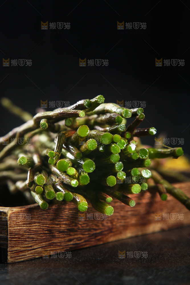 木盘里的铁皮石斛鲜条