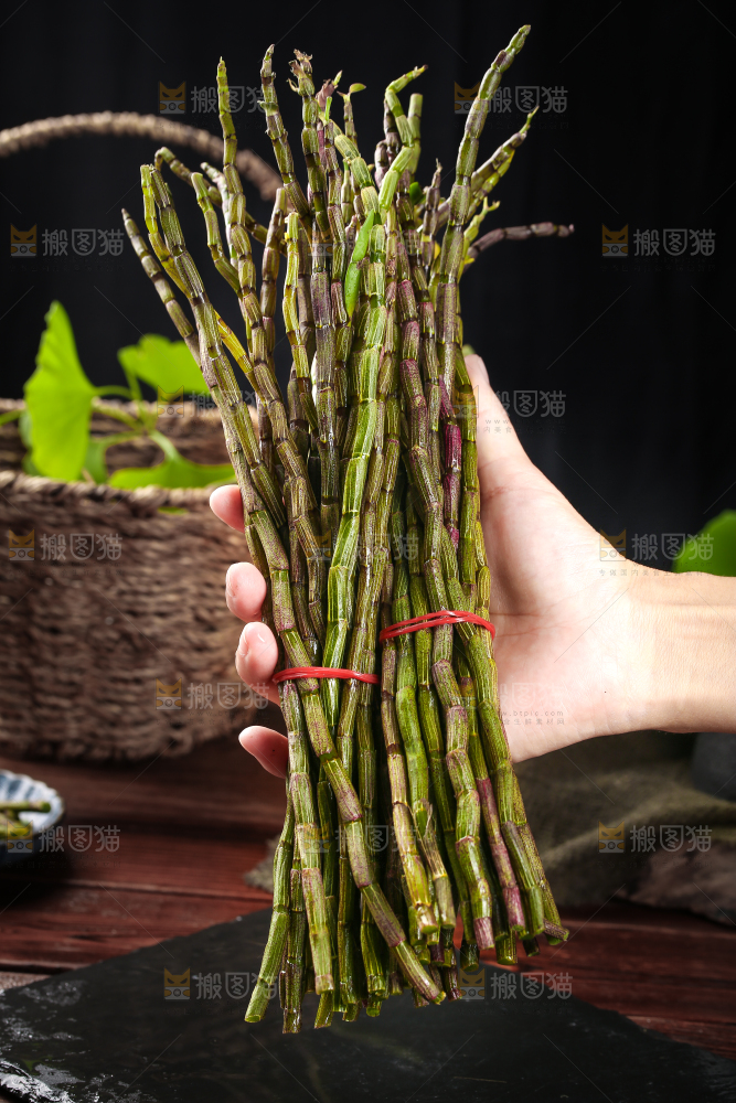 手里拿着云南铁皮石斛
