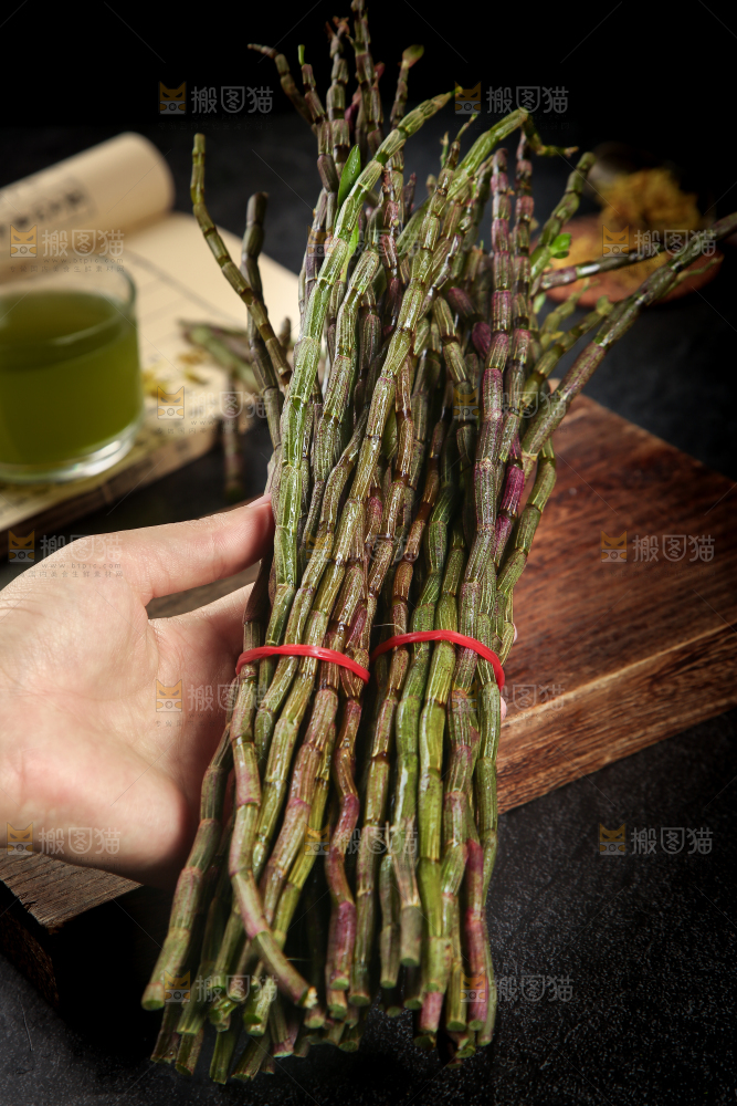 手里拿着石斛鲜条