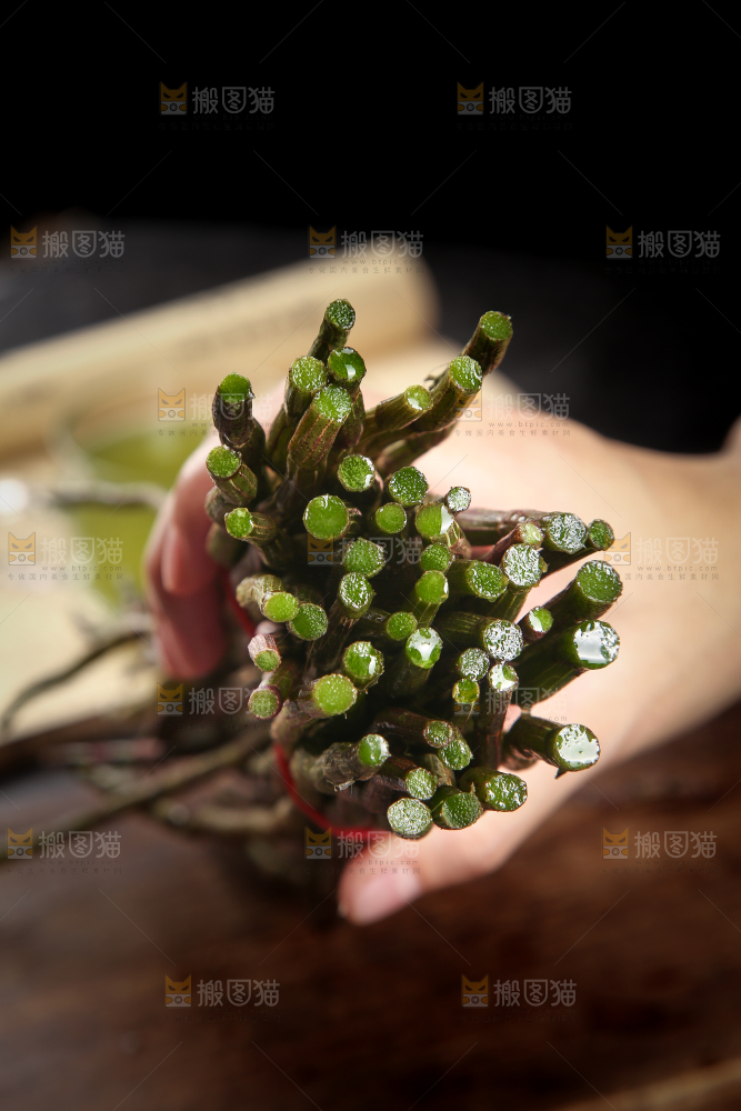 手里拿着石斛鲜条