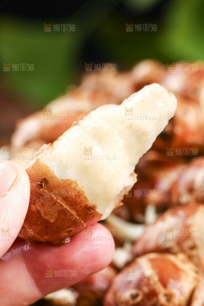 手里拿着沙姜