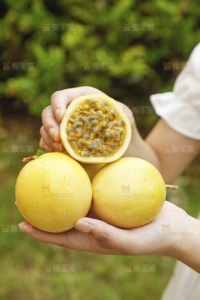 手里拿着百香果