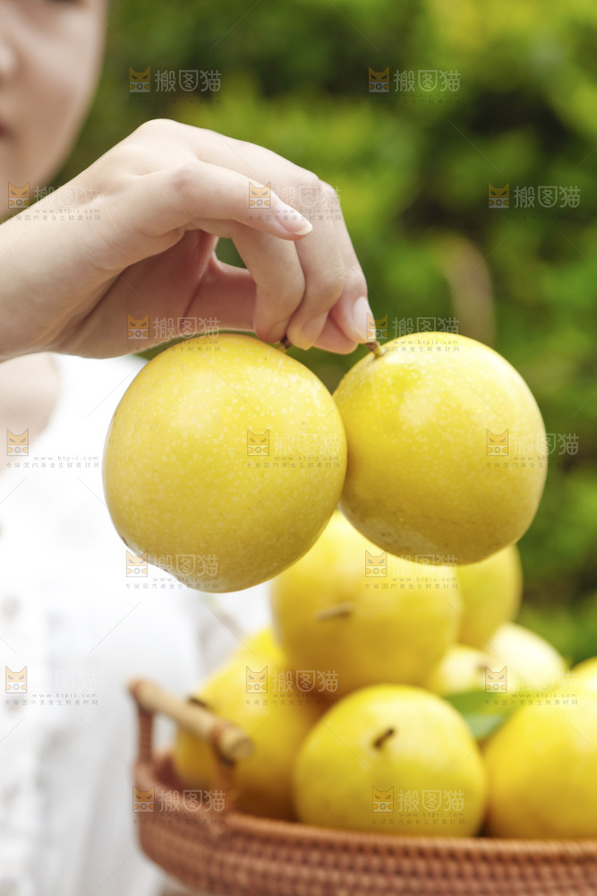 手里拿着黄金百香果