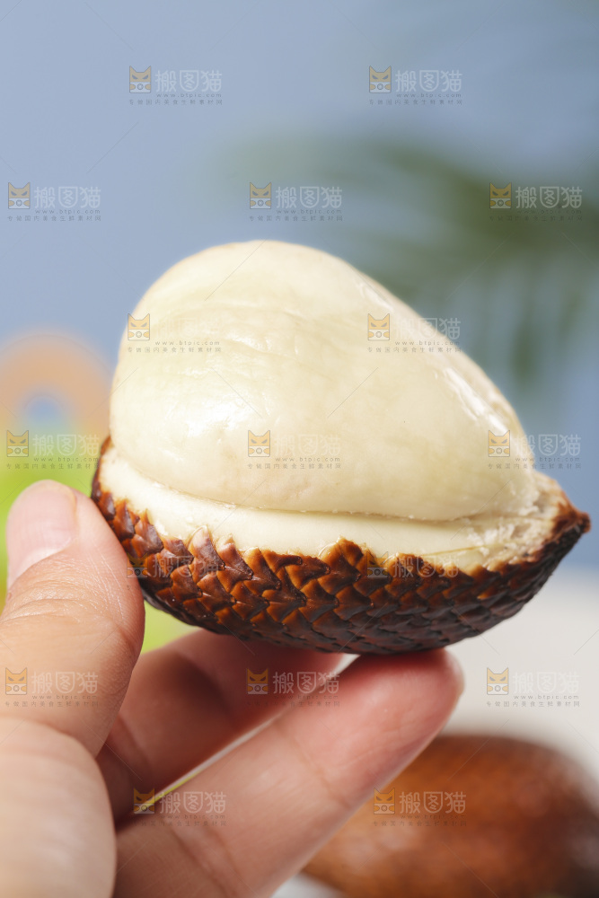 手里拿着着新鲜印尼蛇皮果