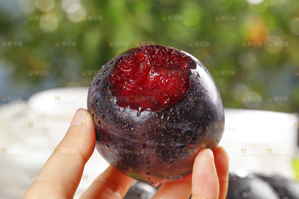 手里拿着恐龙蛋李