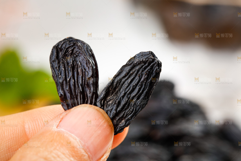 手里拿着黑加仑葡萄干