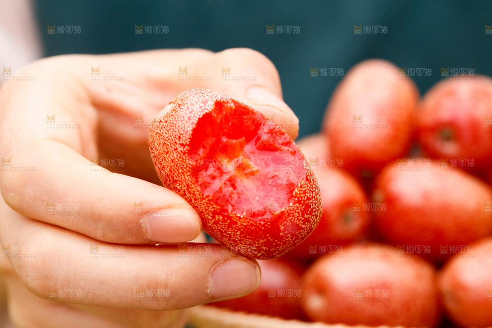 手里拿着羊奶果