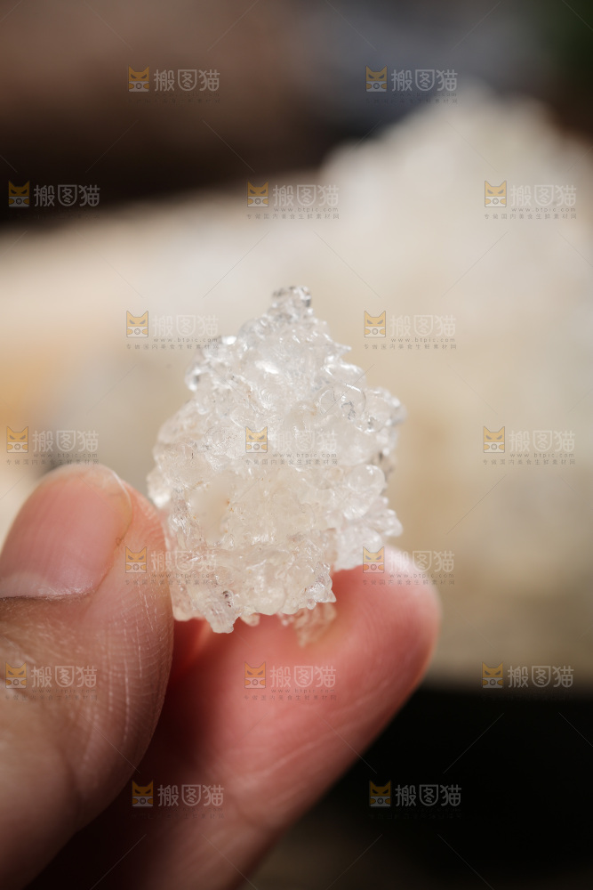 手里拿着拉丝雪燕