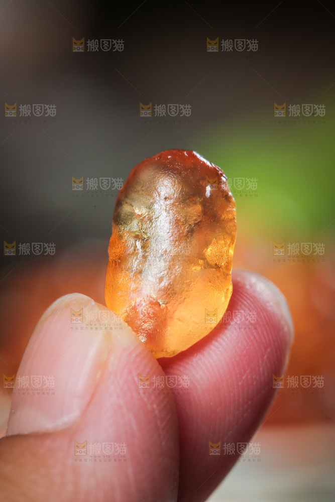 手里拿着桃树胶