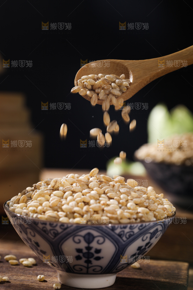 倾倒白青稞米