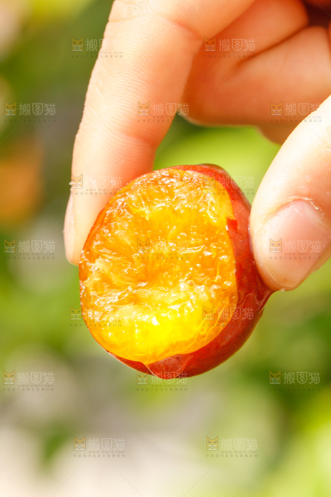 手里拿着新疆西梅
