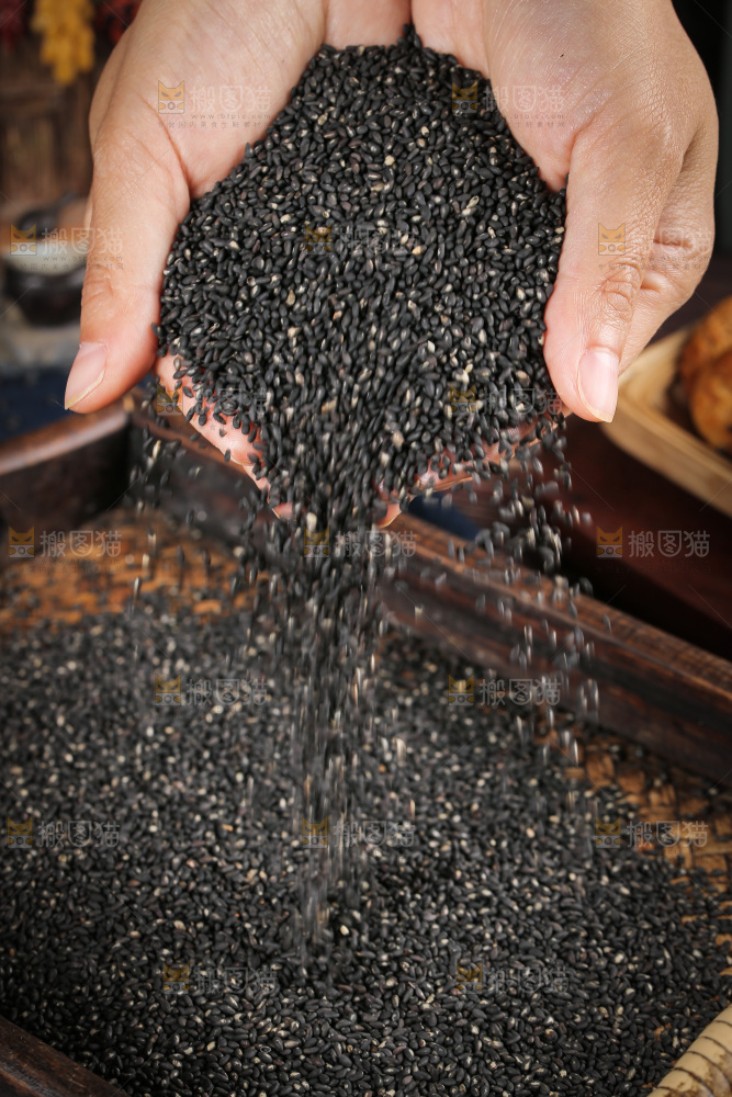 手里捧着黑芝麻粒