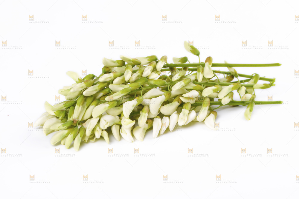 白底上放着槐花