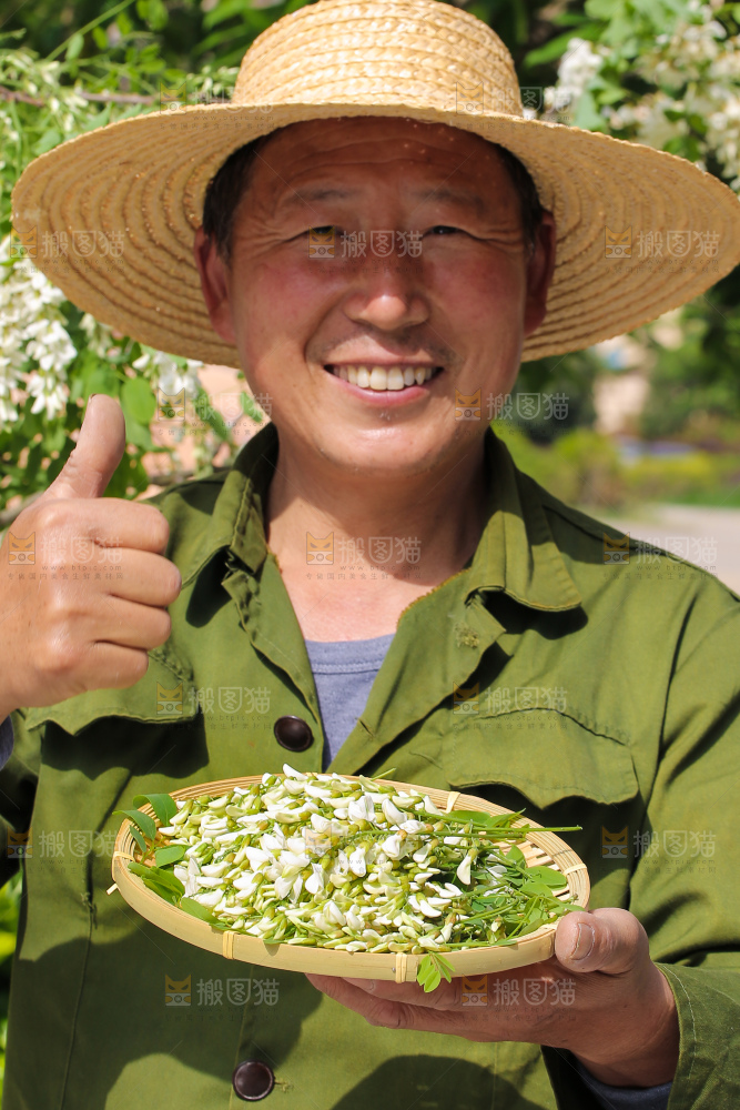 手里端着一盘洋槐花