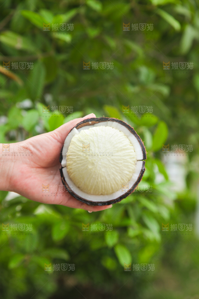 手里拿着掰开的海南椰宝