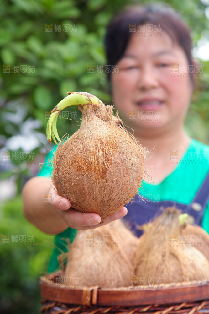 女人手里拿着椰宝