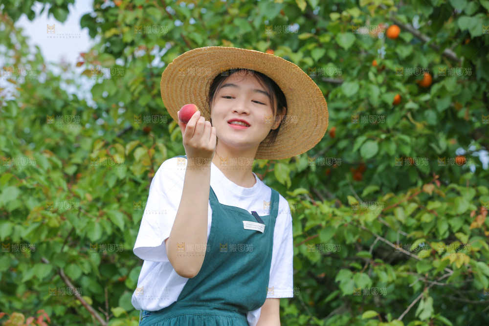 果园里女人手里拿着红杏