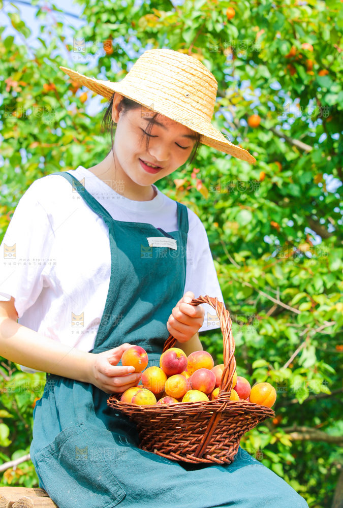 果园里女人手里提着一篮小红杏