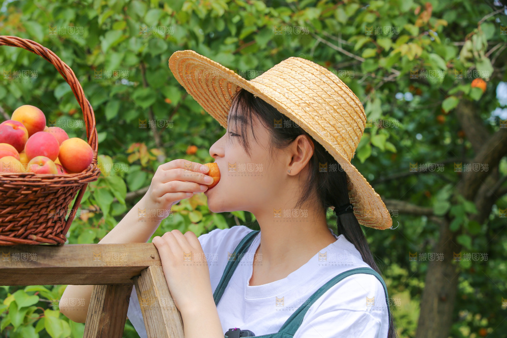 果园里女人吃着红杏