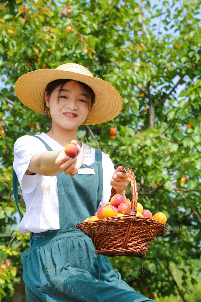 果园里女人手里拿着红杏