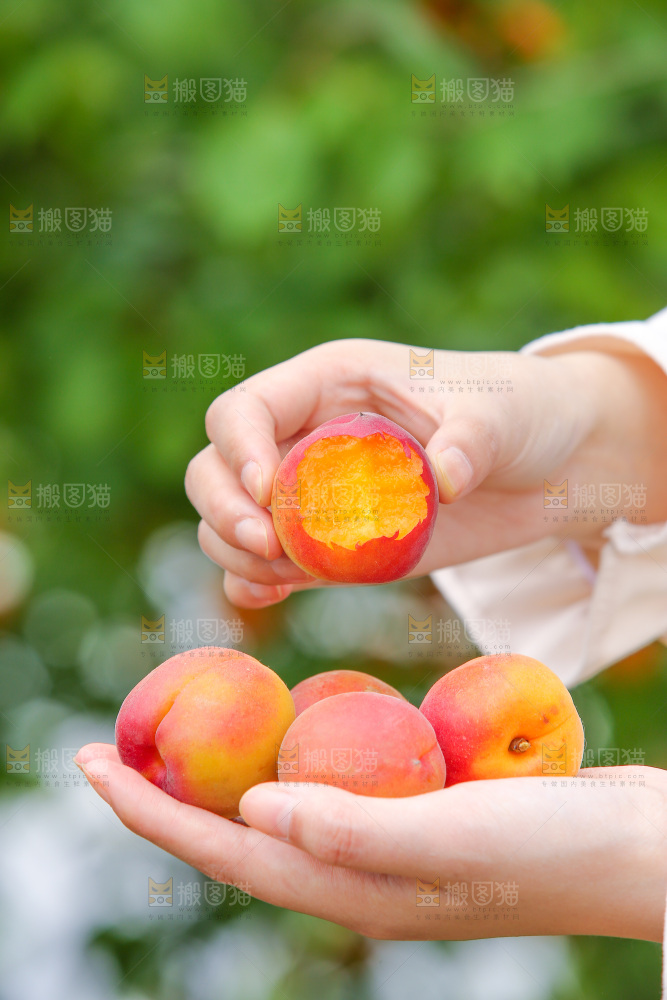 手里拿着红杏