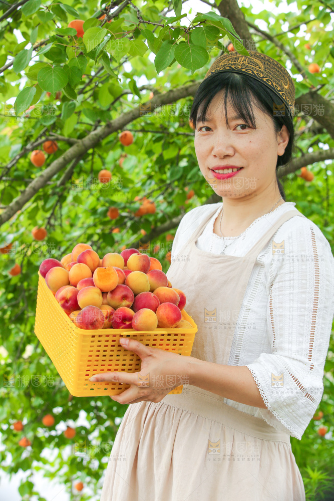 果园里女人手里端着一篮小红杏
