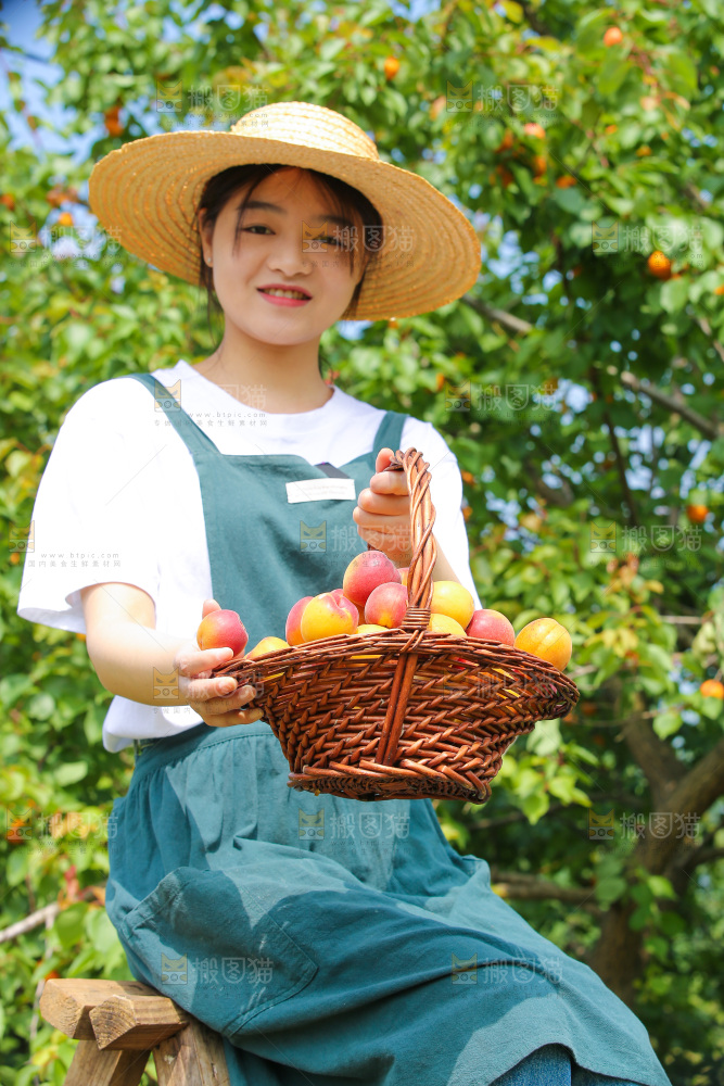 果园里女人手里提着一篮崂山蜜桔