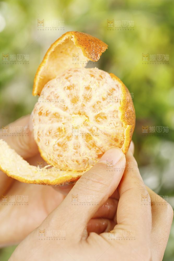 手里剥着皮的椪柑