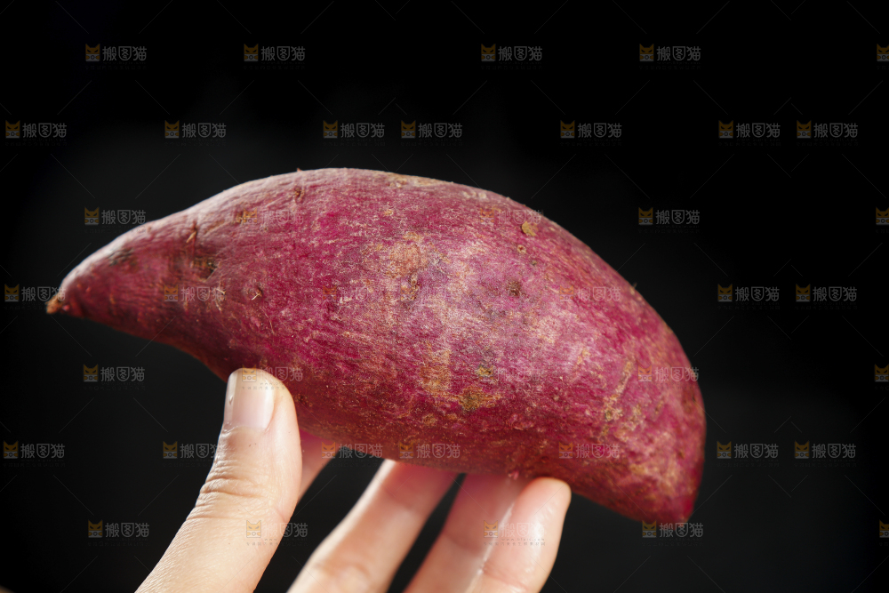 手里拿着大紫薯