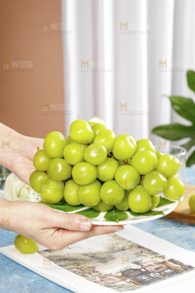 手里端着一盘阳光玫瑰