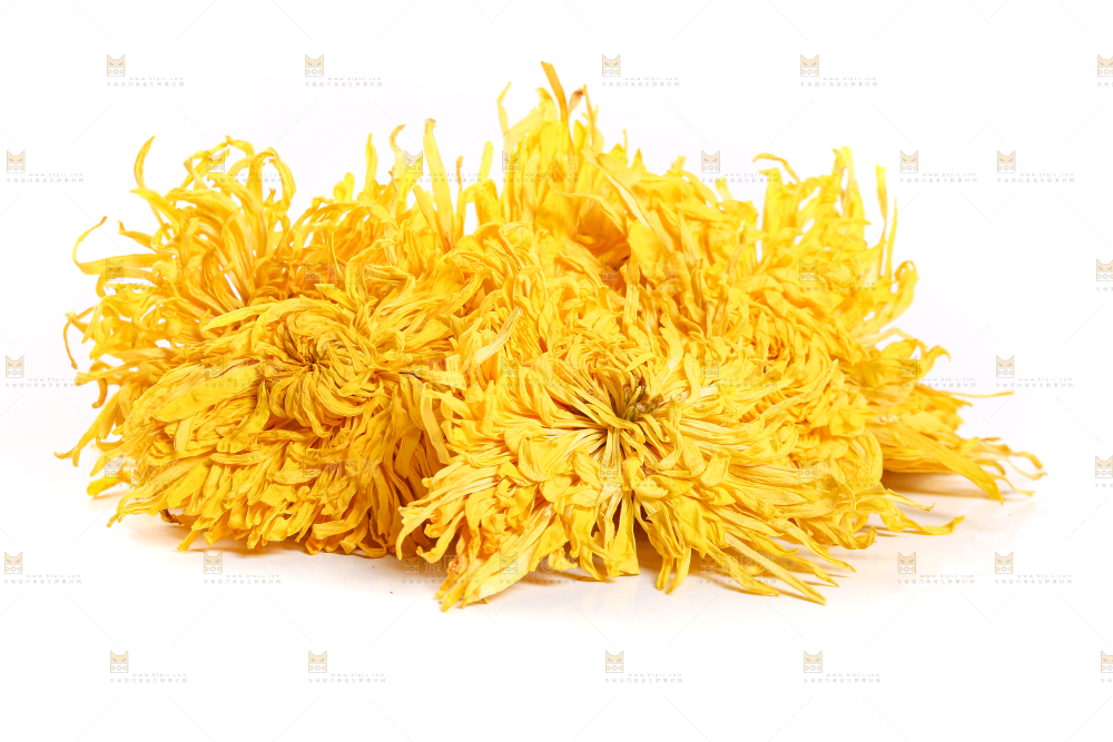 白底上放着贡菊