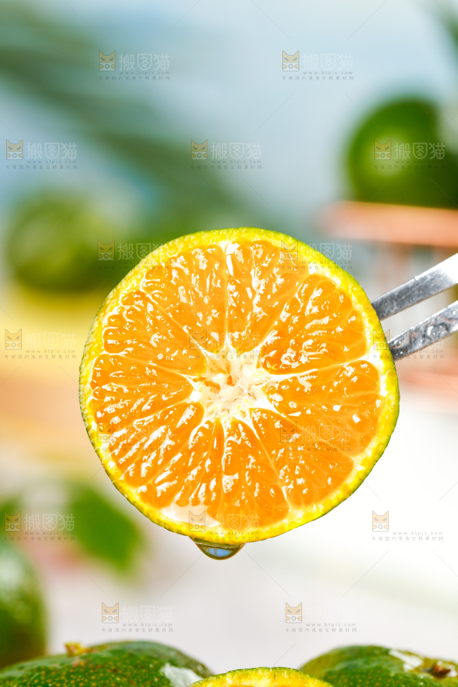 叉子上插着广西清香蜜桔