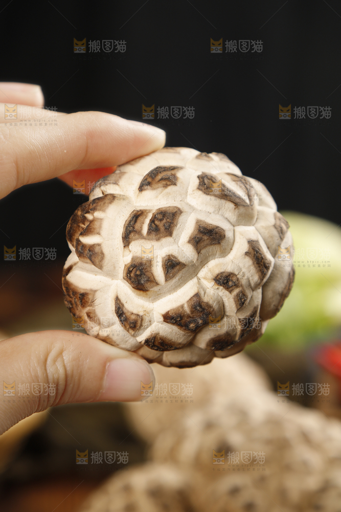 手里拿着花菇