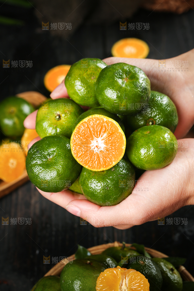 手里捧着广西清香蜜桔